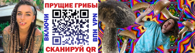 Галлюциногенные грибы Cubensis  Лиски 